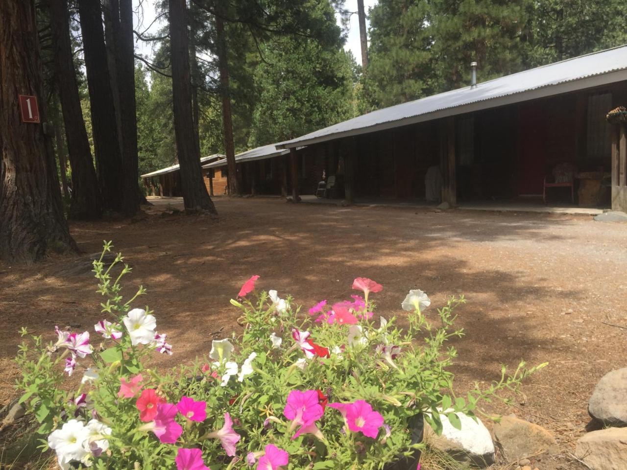 Sierra Sky Lodge Sloat Bagian luar foto